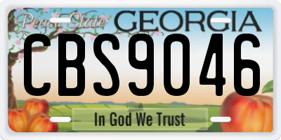 GA license plate CBS9046