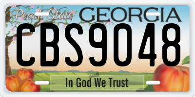 GA license plate CBS9048