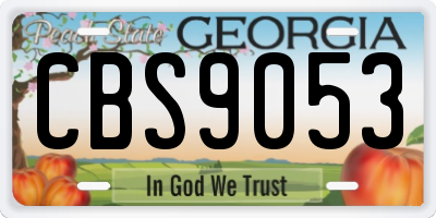 GA license plate CBS9053