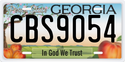 GA license plate CBS9054