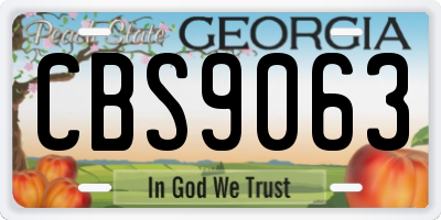 GA license plate CBS9063