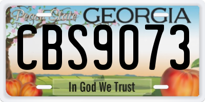 GA license plate CBS9073