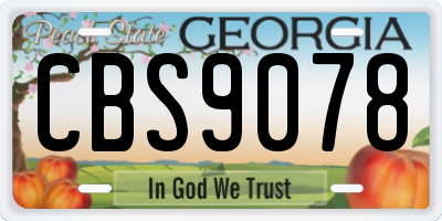 GA license plate CBS9078