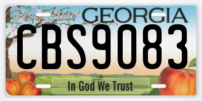 GA license plate CBS9083
