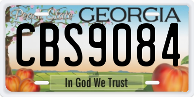 GA license plate CBS9084