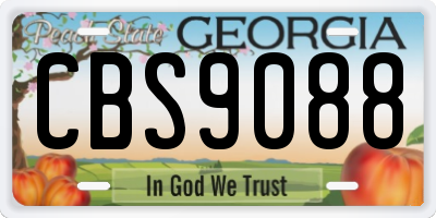 GA license plate CBS9088