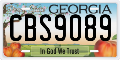 GA license plate CBS9089