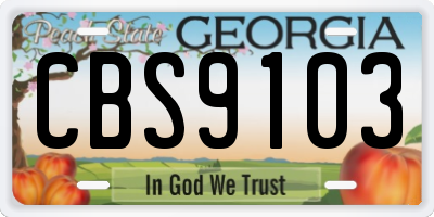 GA license plate CBS9103