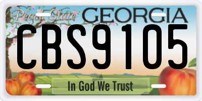 GA license plate CBS9105