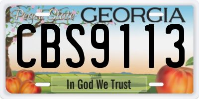 GA license plate CBS9113