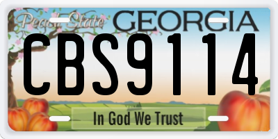 GA license plate CBS9114