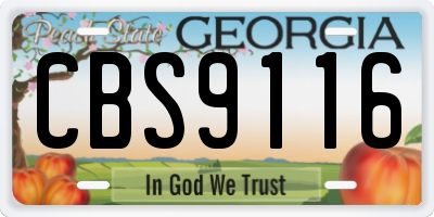 GA license plate CBS9116