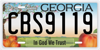 GA license plate CBS9119