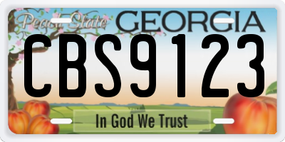 GA license plate CBS9123