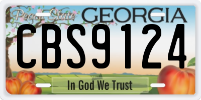 GA license plate CBS9124