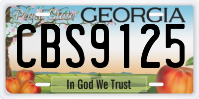 GA license plate CBS9125