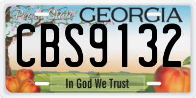 GA license plate CBS9132