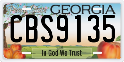 GA license plate CBS9135