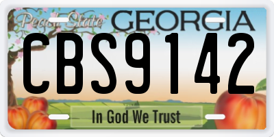 GA license plate CBS9142