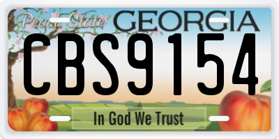 GA license plate CBS9154