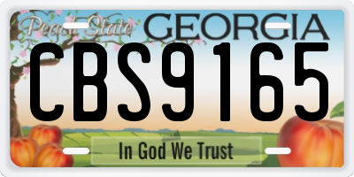 GA license plate CBS9165