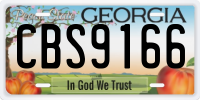 GA license plate CBS9166
