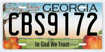 GA license plate CBS9172