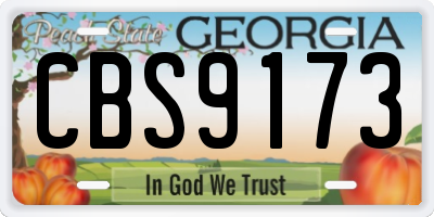 GA license plate CBS9173