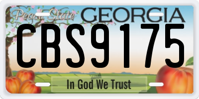 GA license plate CBS9175