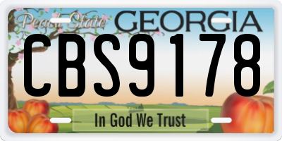 GA license plate CBS9178