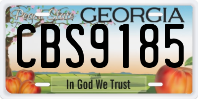 GA license plate CBS9185