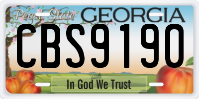 GA license plate CBS9190