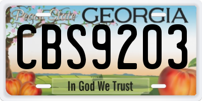 GA license plate CBS9203