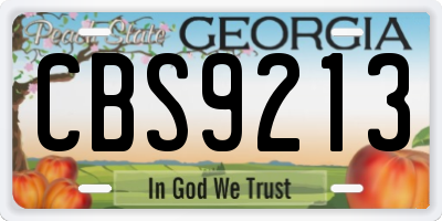 GA license plate CBS9213