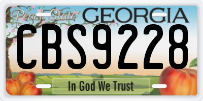 GA license plate CBS9228