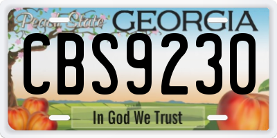 GA license plate CBS9230