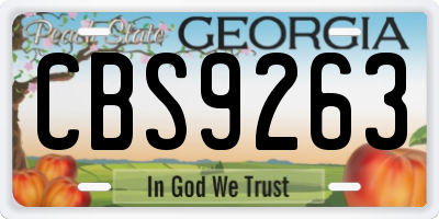 GA license plate CBS9263