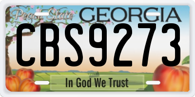GA license plate CBS9273