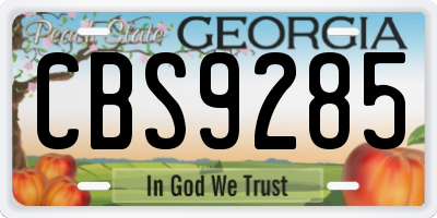 GA license plate CBS9285