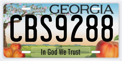 GA license plate CBS9288