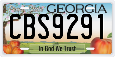 GA license plate CBS9291