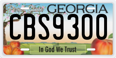 GA license plate CBS9300