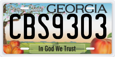 GA license plate CBS9303