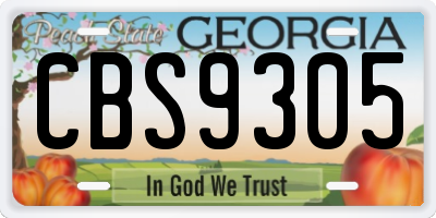 GA license plate CBS9305