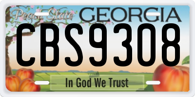 GA license plate CBS9308