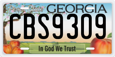 GA license plate CBS9309