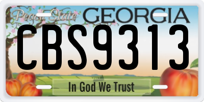 GA license plate CBS9313