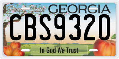GA license plate CBS9320