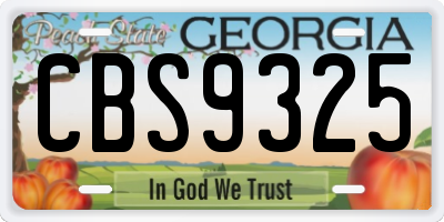 GA license plate CBS9325