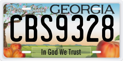 GA license plate CBS9328